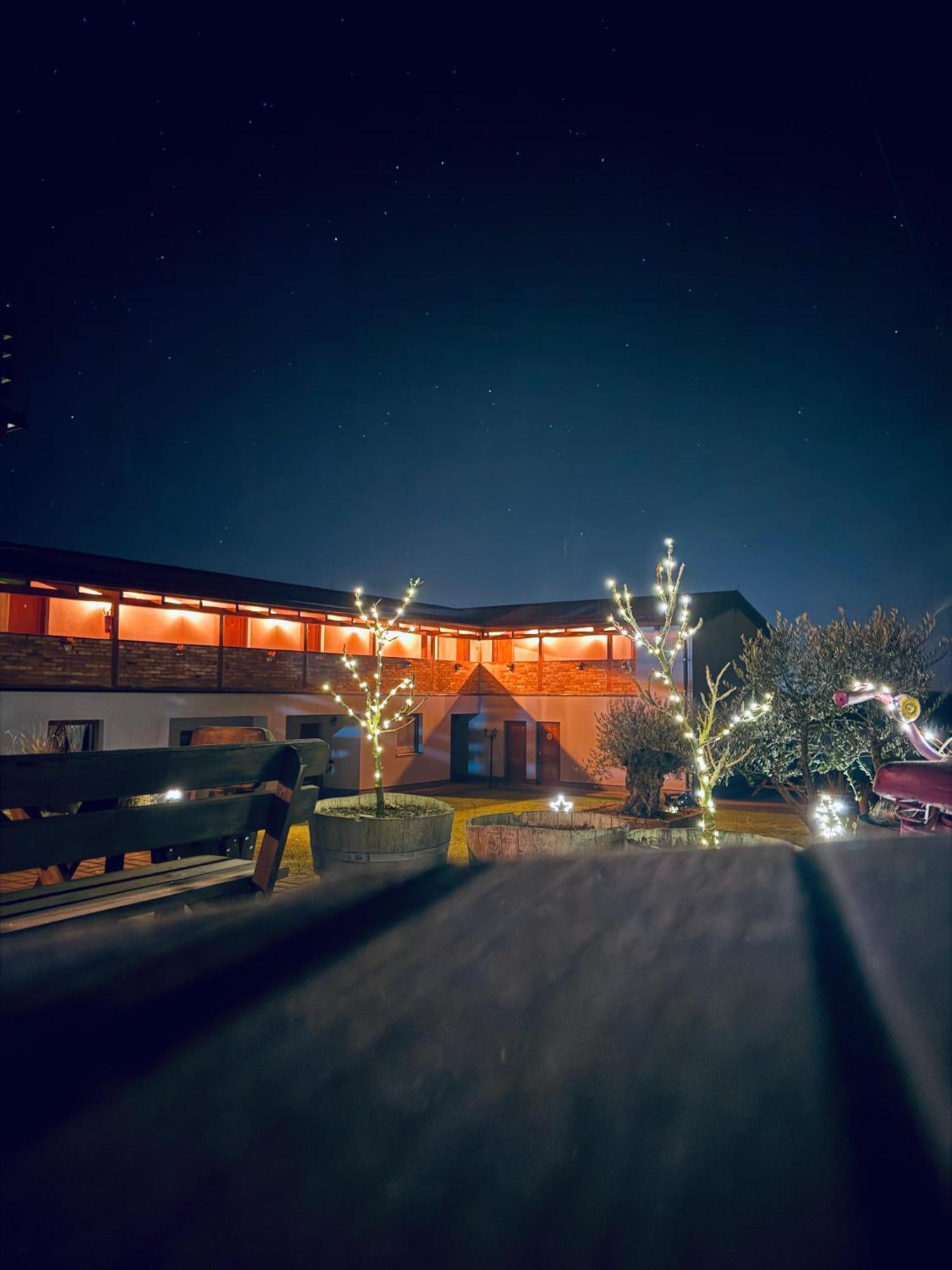 Penzion Vinarstvi Fabikovic Velké Bílovice Exterior foto
